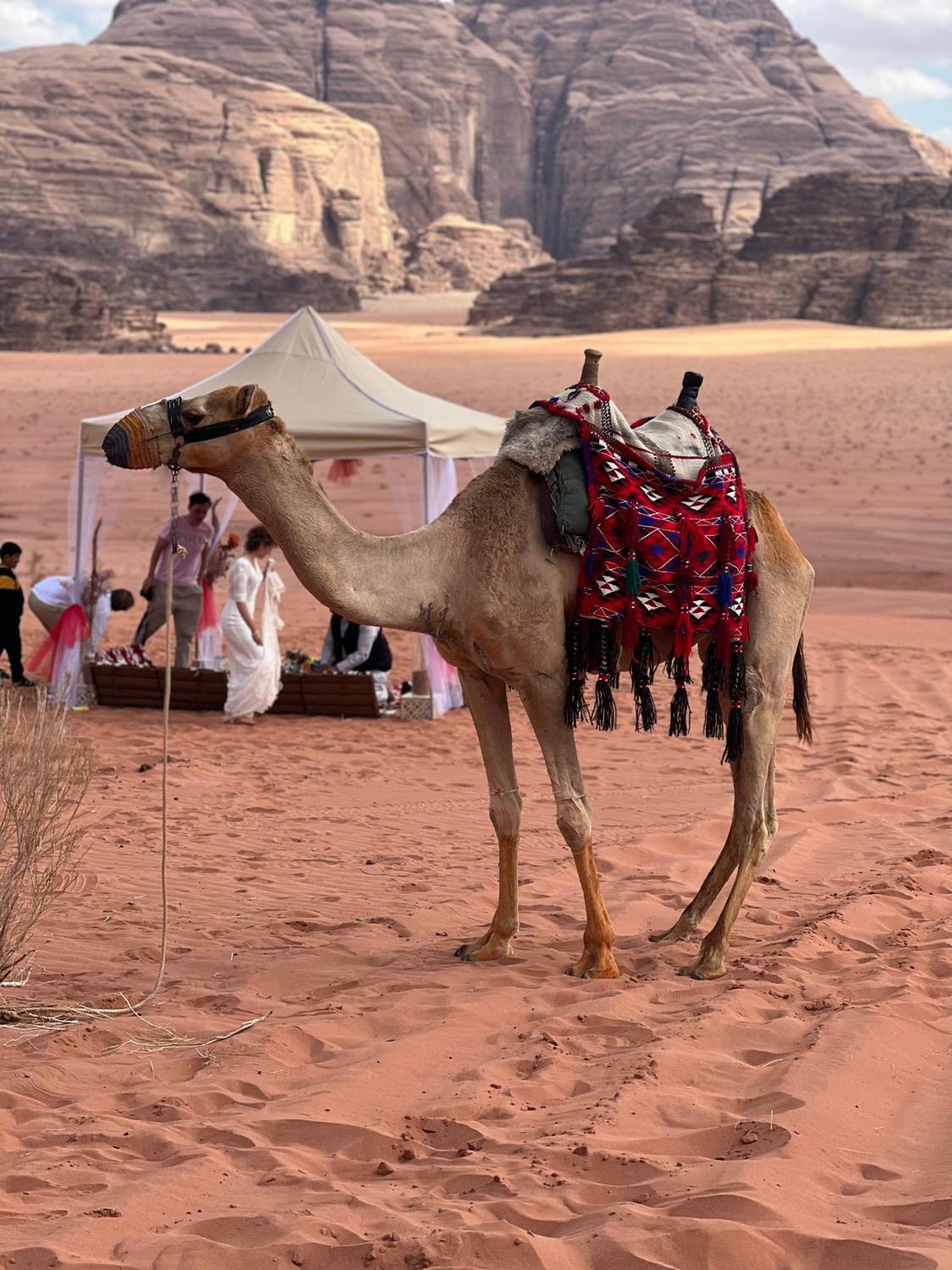 Moon Magic Valley Apartment Wadi Rum Exterior photo
