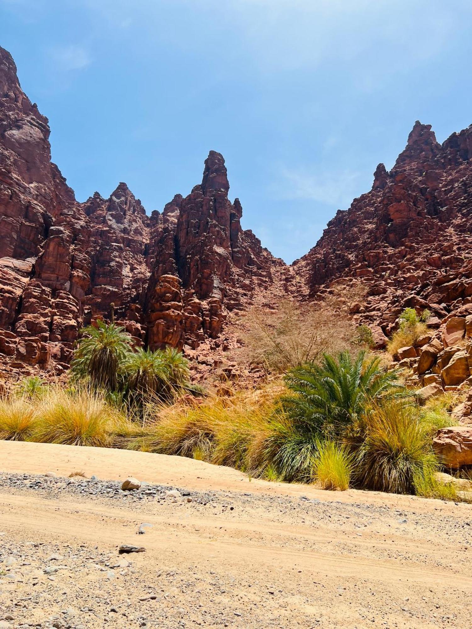 Moon Magic Valley Apartment Wadi Rum Exterior photo